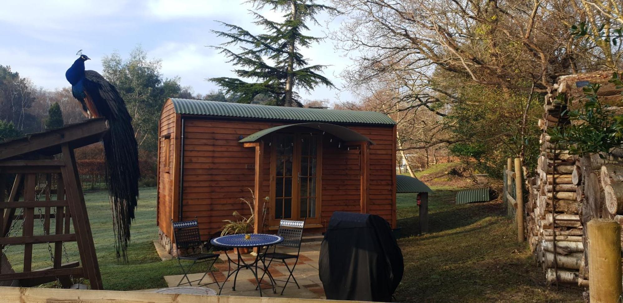 Villa Sika Hut à Wareham Extérieur photo